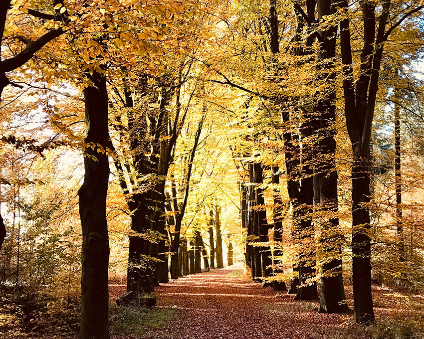 Fall Quater Goes Smoothly