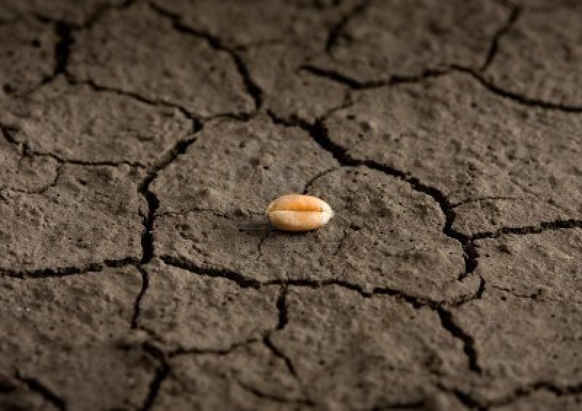 6/27 Jubilee Chapel Worship